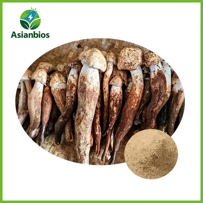 Termite Mushroom Powder
